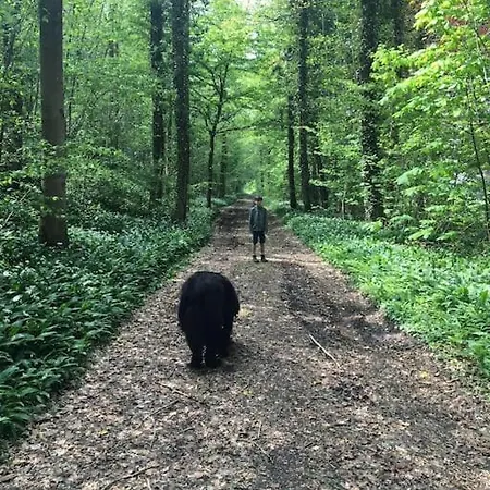 Le Tilleul בית נופש קלבייר