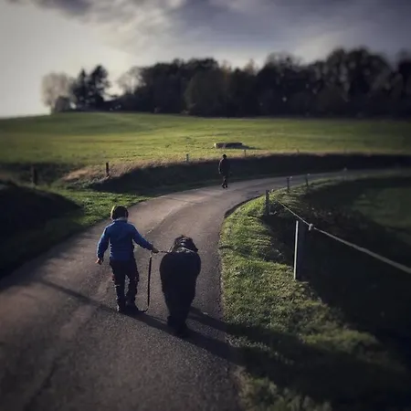 Le Tilleul בית נופש