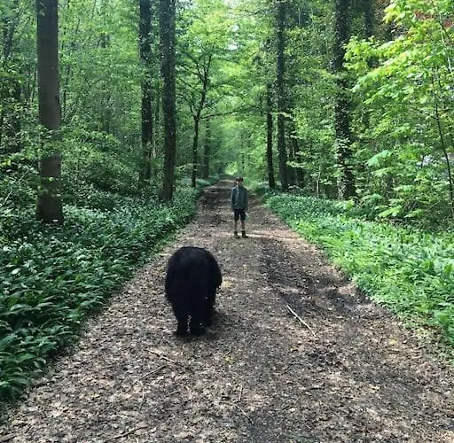 Le Tilleul בית נופש קלבייר